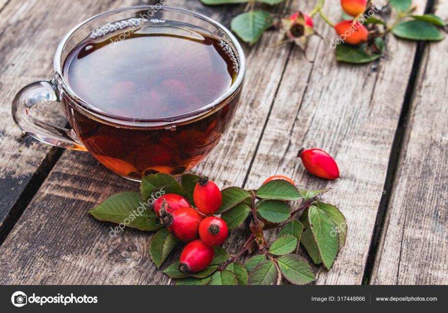 Шиповника Роберта