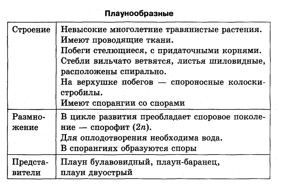 Гилокомиум блестящий мох