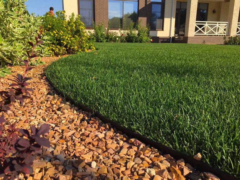 Натуральный газон