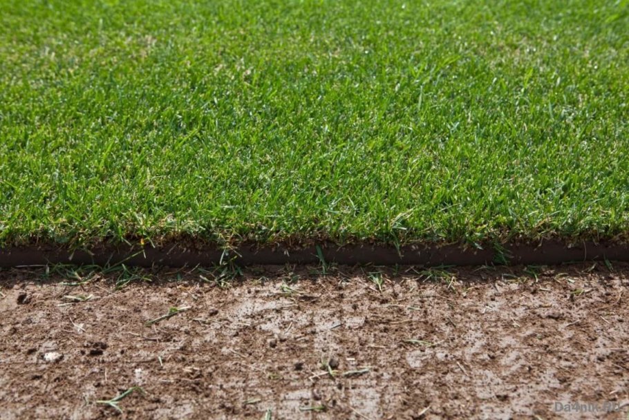 Натуральный футбольный газон