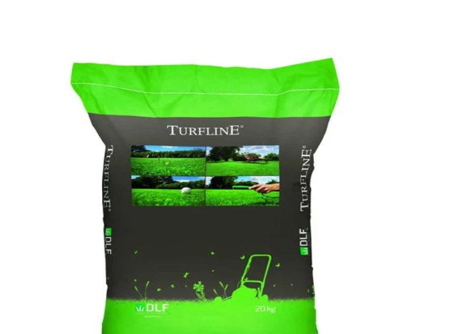 Нано газон семена