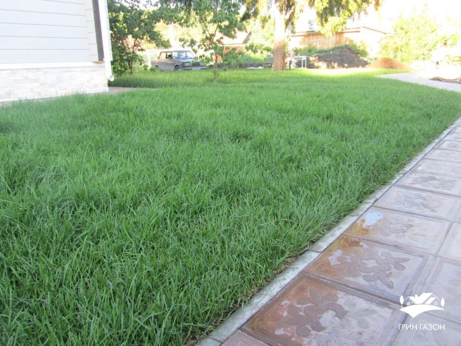 Газон 0335ат797