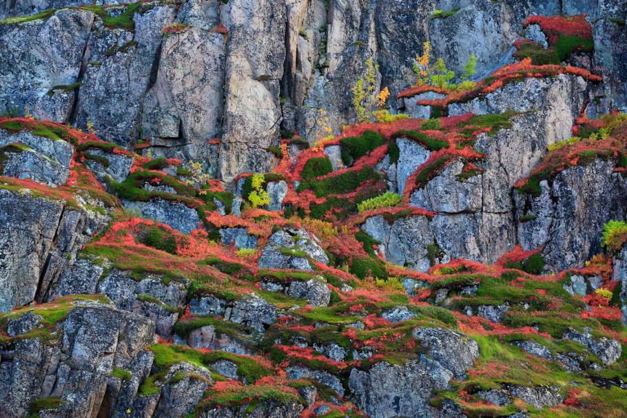 Россия самая красивая Страна