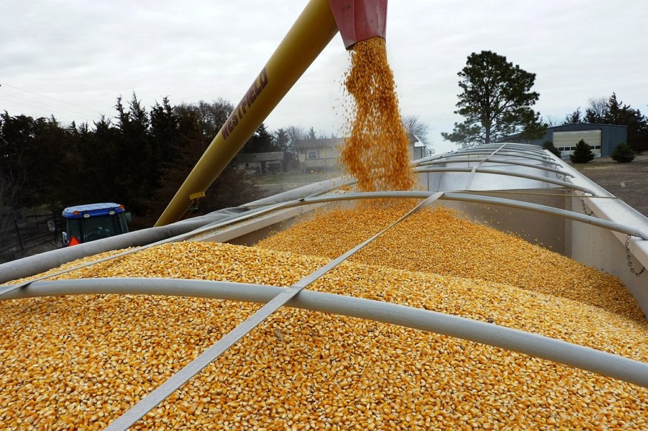 Запасы пшеницы