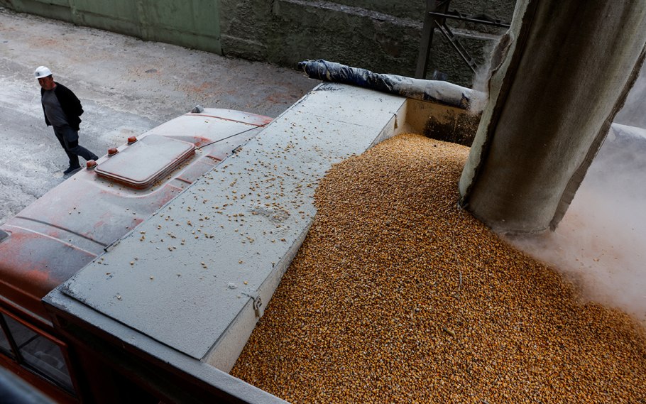 Кубань Житница России