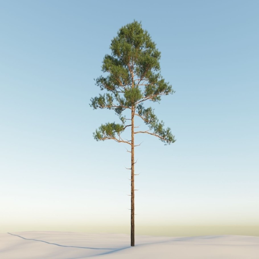 Видовые точки экологической тропы