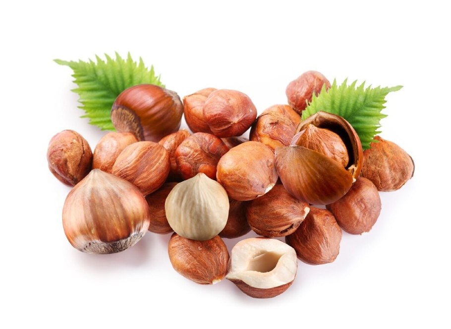 Olmaxon Yong'oq Multi vector