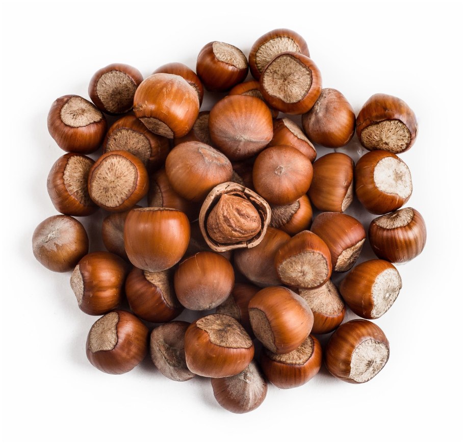 Фундук Крымский