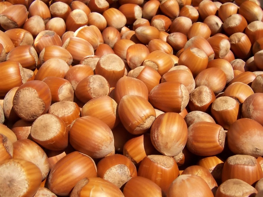 Лесной орех (Hazelnut)