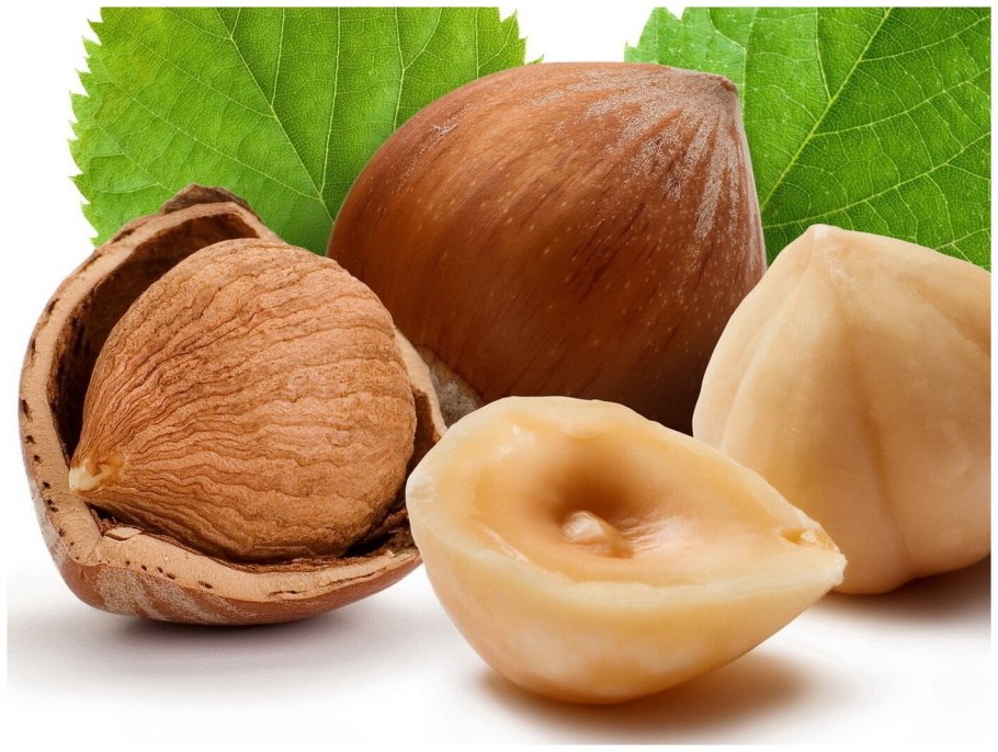 Фундук фото