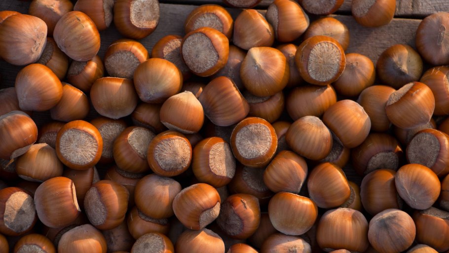 Фундук неочищенный
