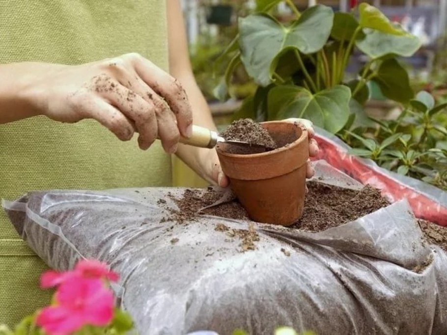 Подкормка комнатных растений