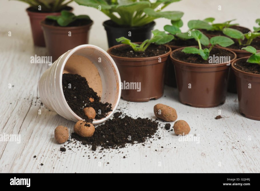 Дренаж в горшке для цветов