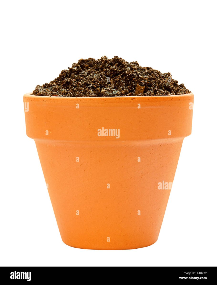 Цветочный горшок с землей