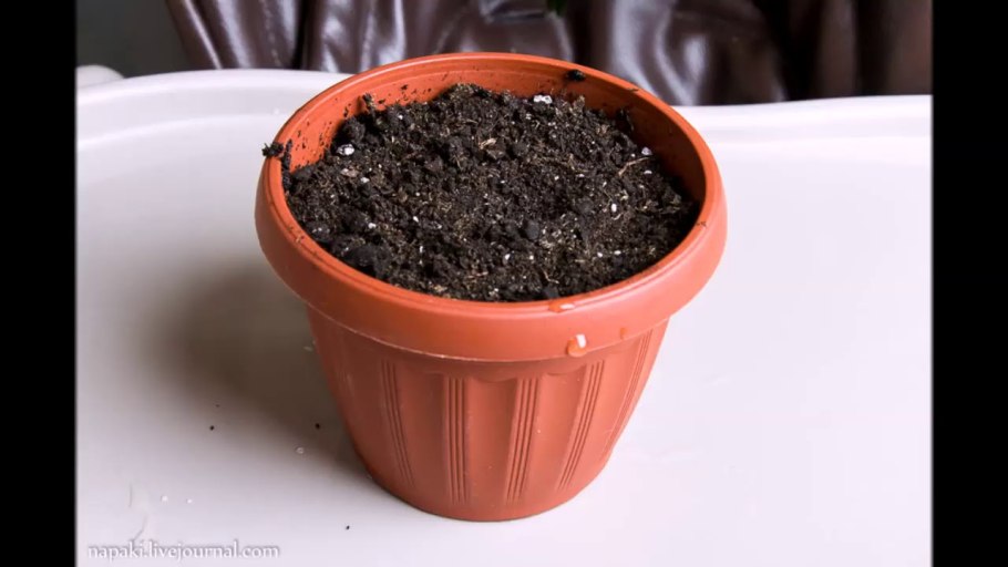 Цветочный горшок с землей