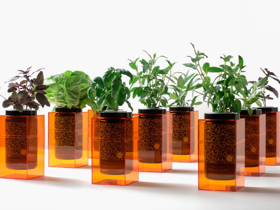 Гидропоника Субстратная культура