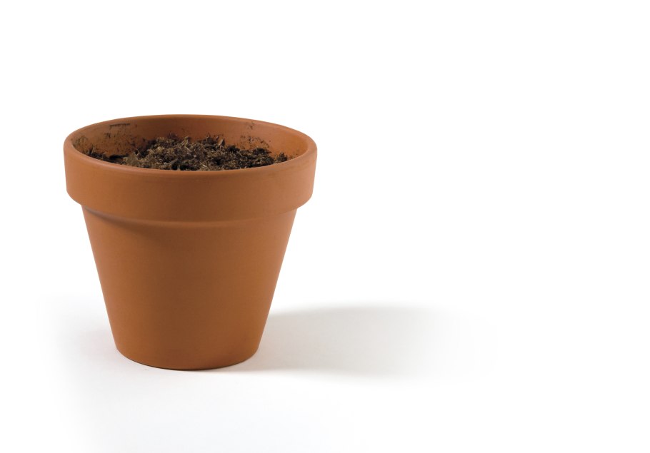 Цветочный горшок с землей
