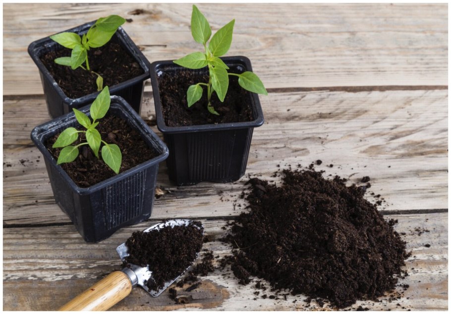 Горшочки для пикировки рассады
