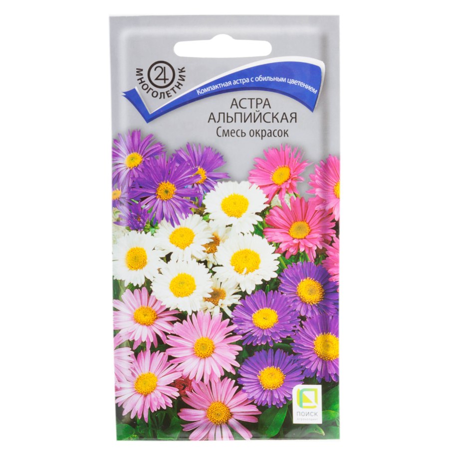 Астра итальянская (Aster amellus)