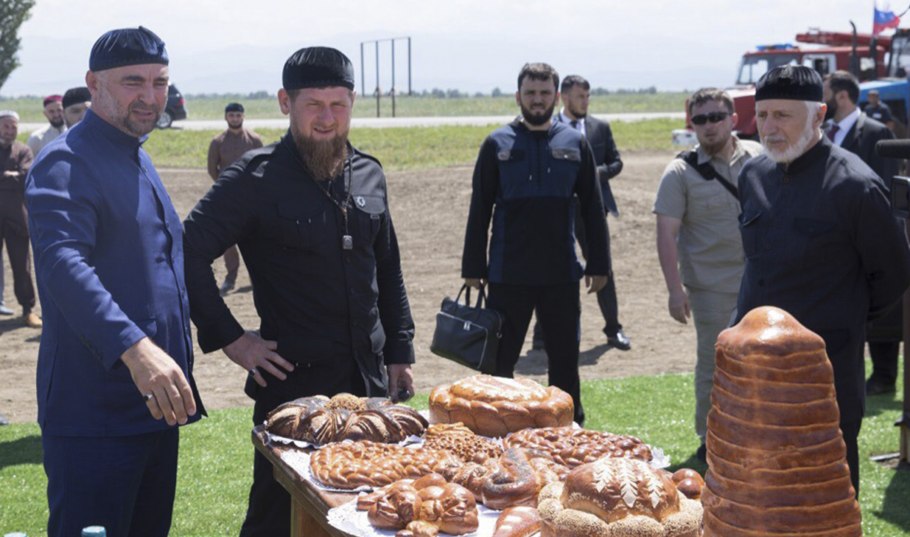 Яровой ячмень тритикале