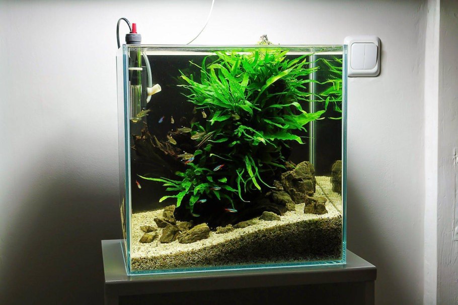 Креветочник 30л