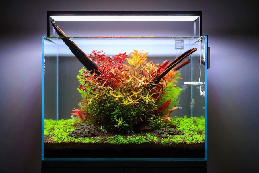Аквариум Nano Cube 10