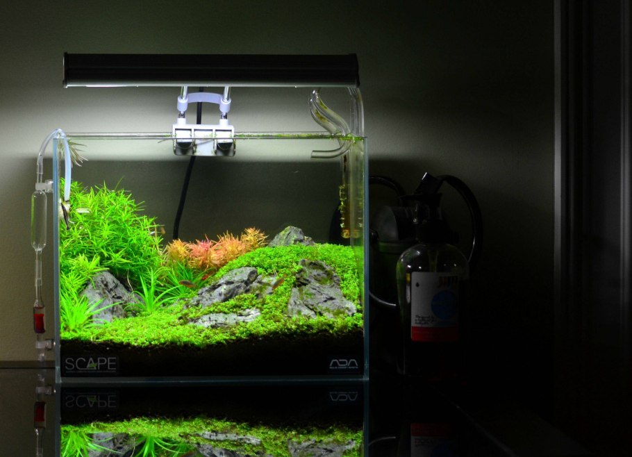 Креветочник 30л