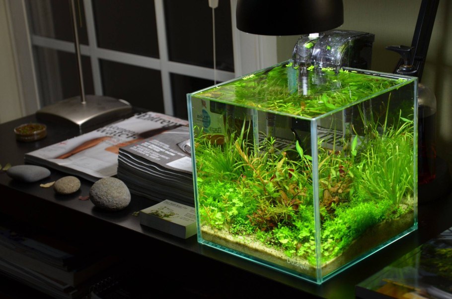 Аквариум Dennerle Nano Cube на 60 литров