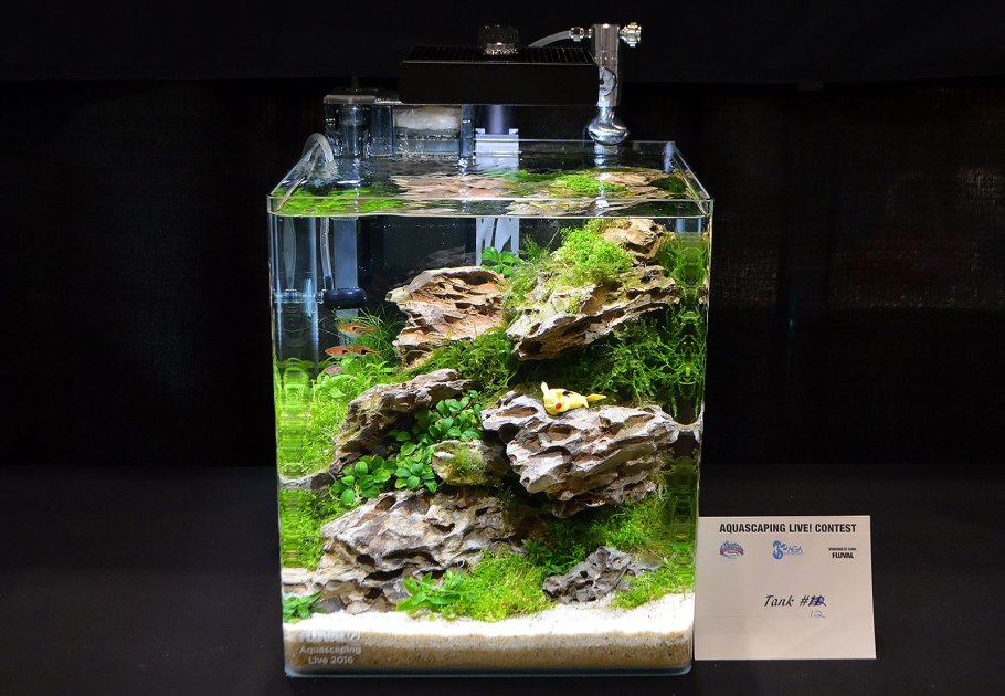 Акваскейп Nano Cube
