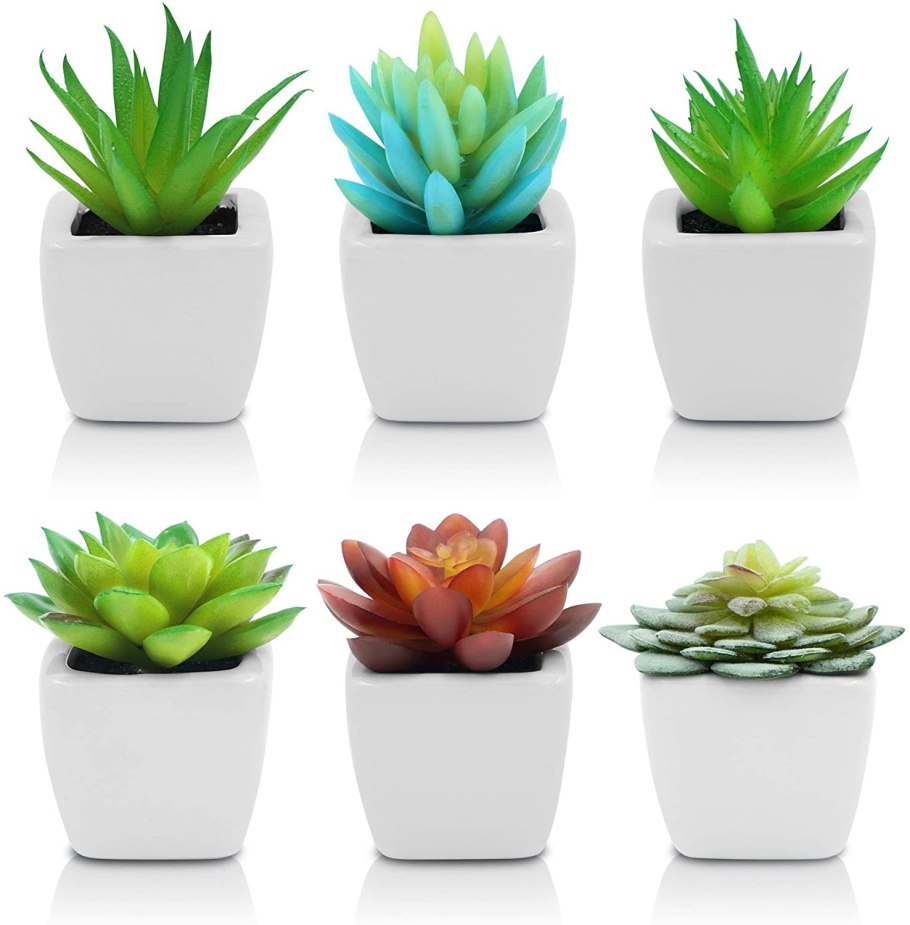 Горшок эхеверия 004080