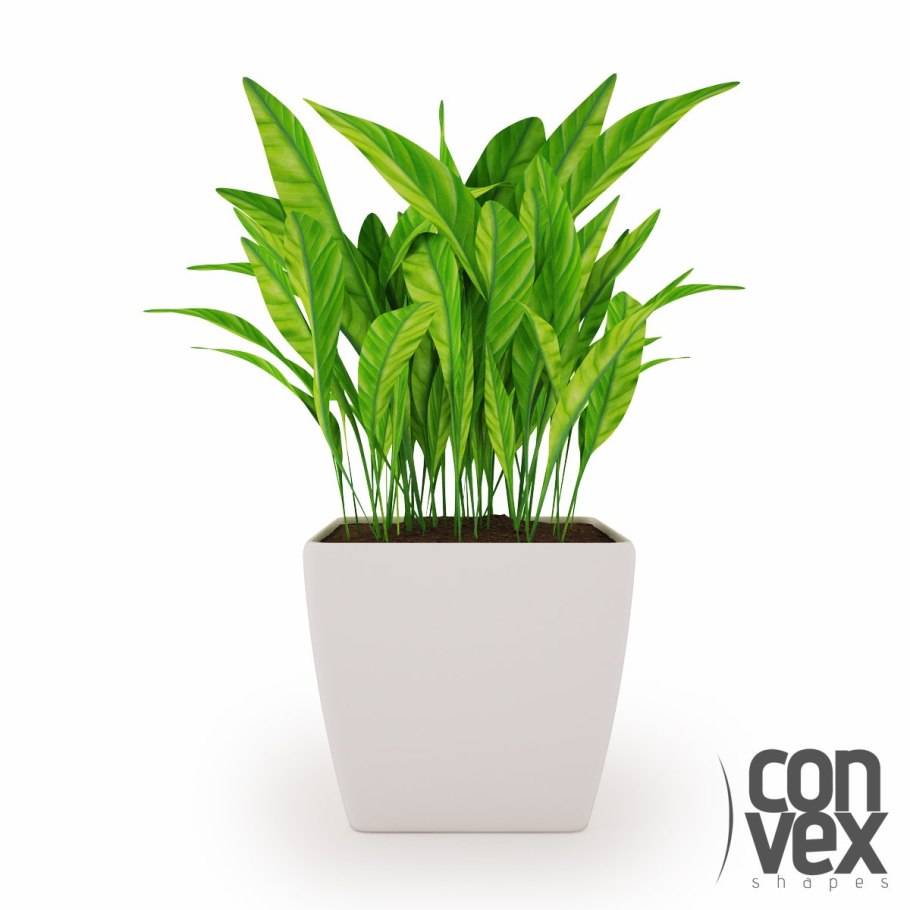CGAXIS CONVEXSHAPES 3d Potted Plants collection