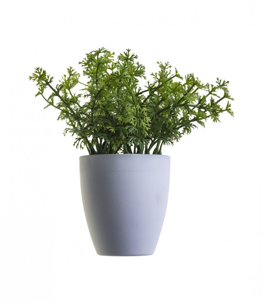 Горшок с цветами