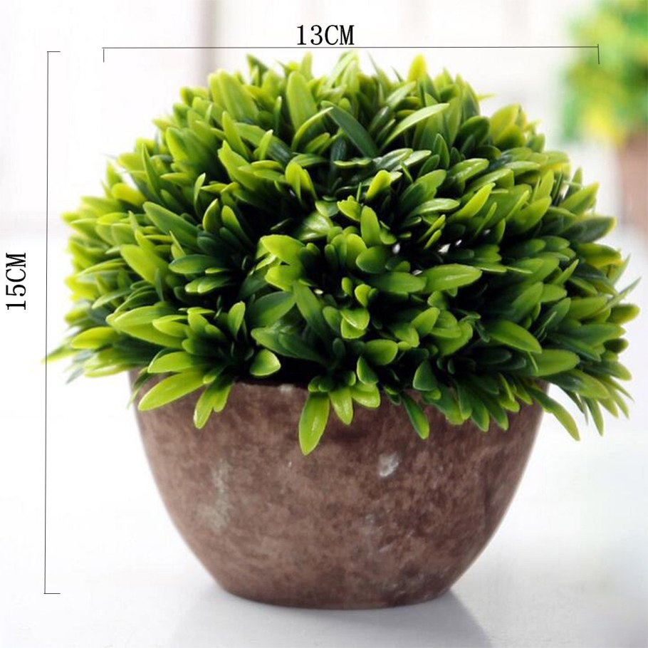 Низкорослые растения горшок