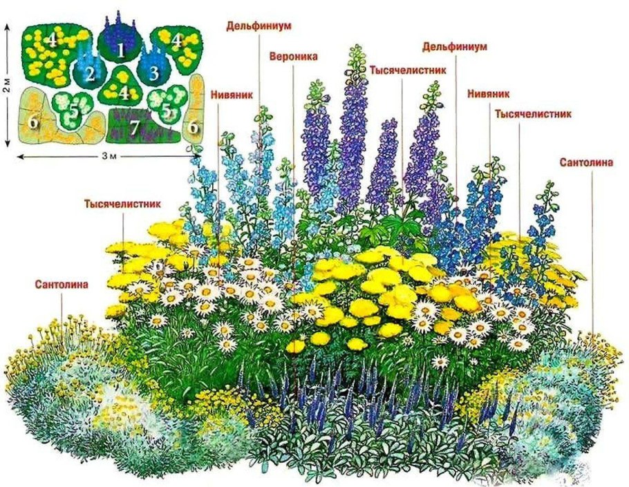 Астильба Арендса (Astilbe arendsii Spinell