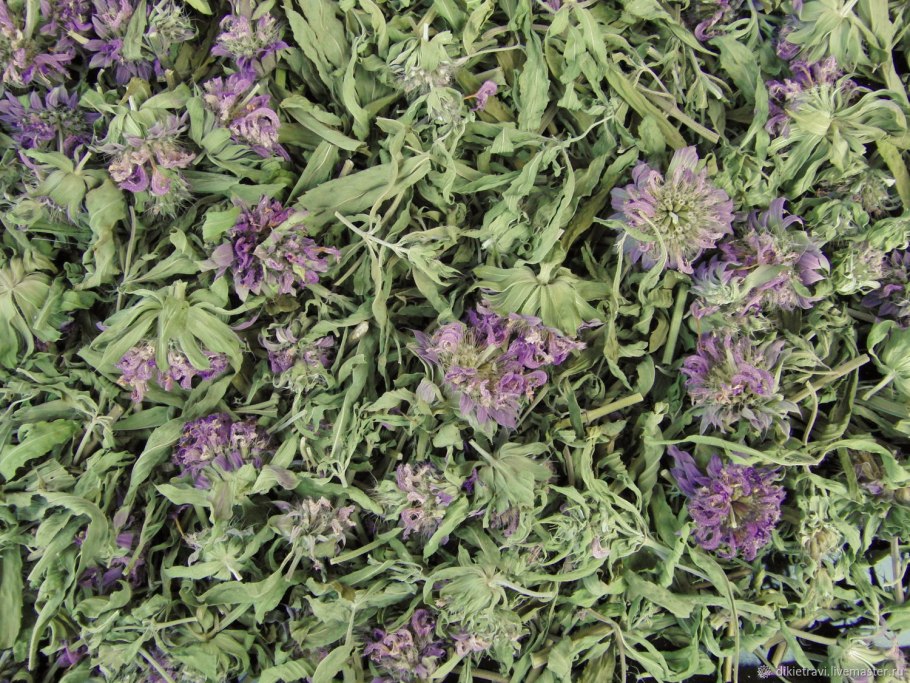 Высушенная трава