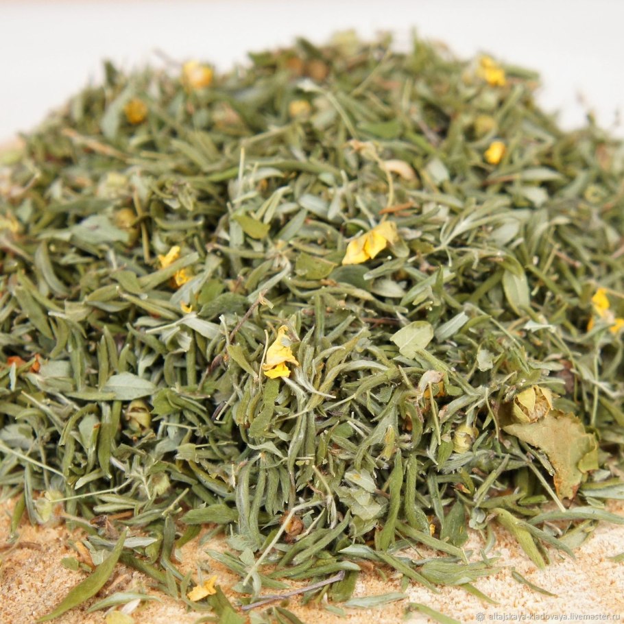 Старинные Ботанические иллюстрации