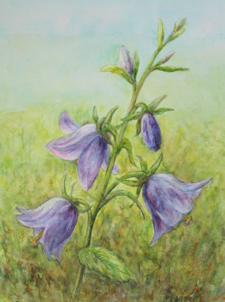 Колокол на белом фоне