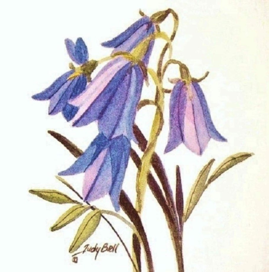 Колокольчик арт акварель
