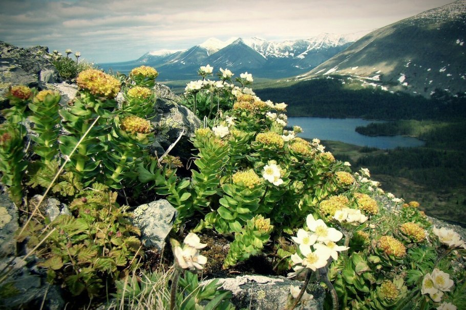 Природа Южного Урала Солнечная Поляна