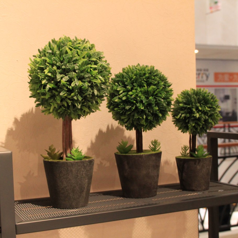 Топиарий бонсай