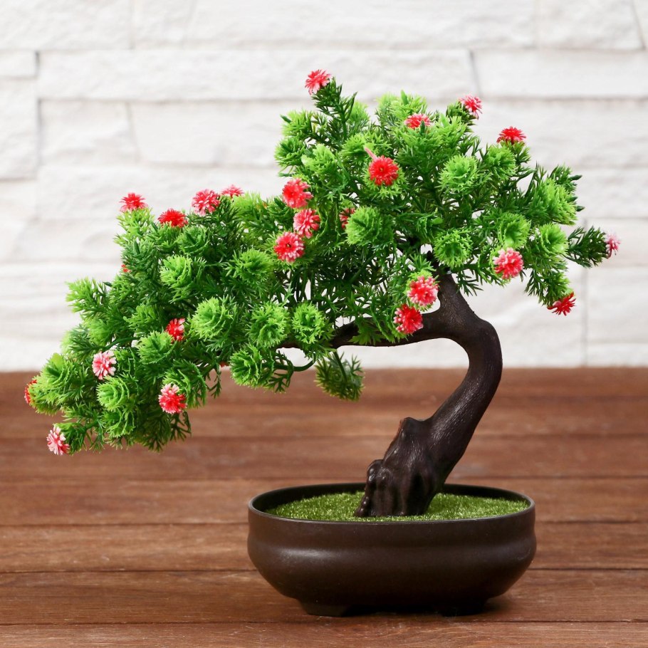 Бонсай микс