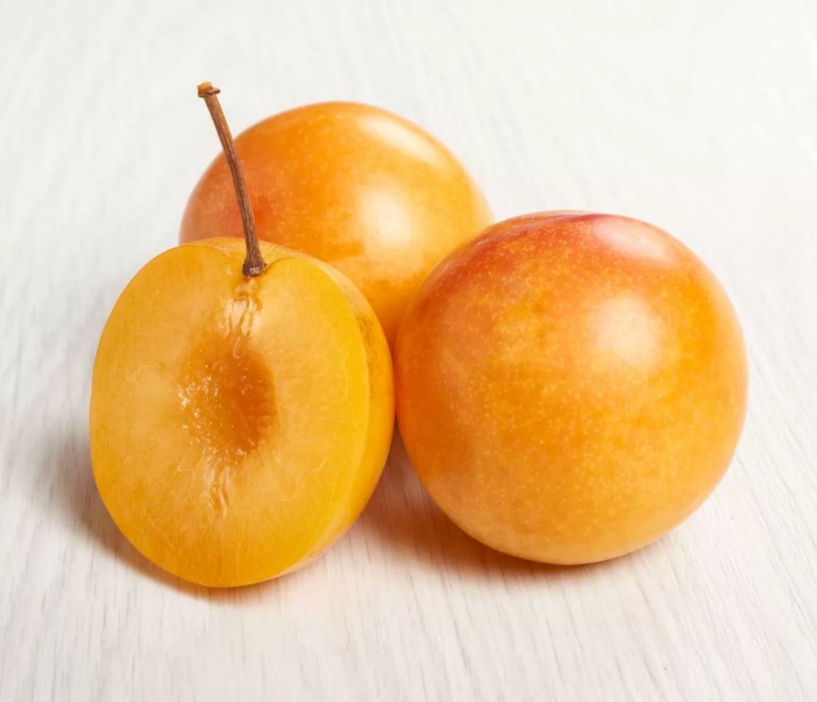 Сорт алычи Ветразь