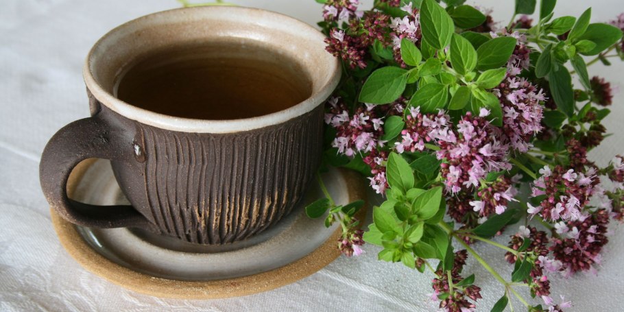 Чай с орегано душицей