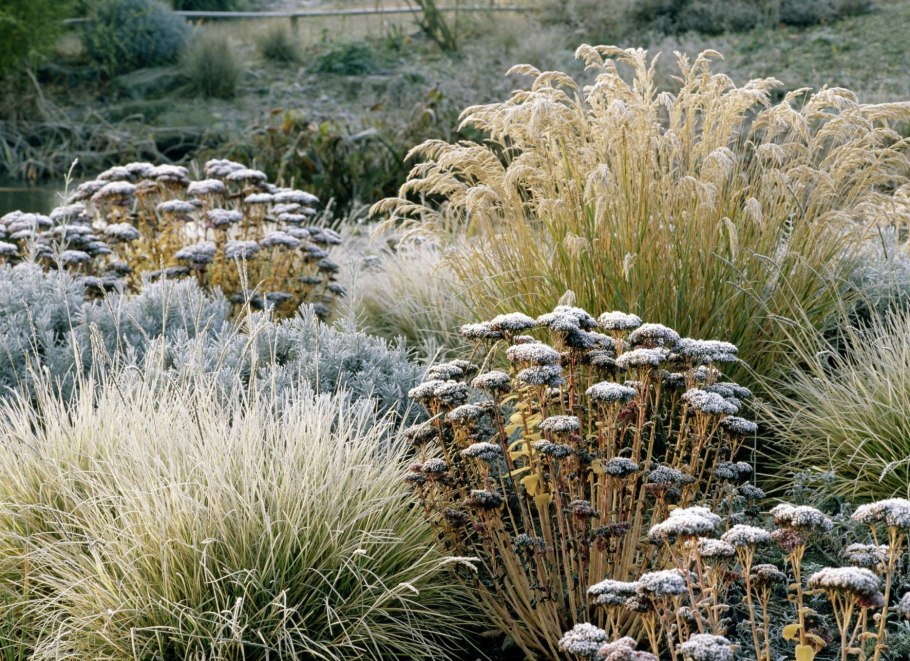 Сельское хозяйство зимой