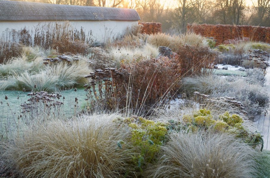 Пит Удольф зимний сад