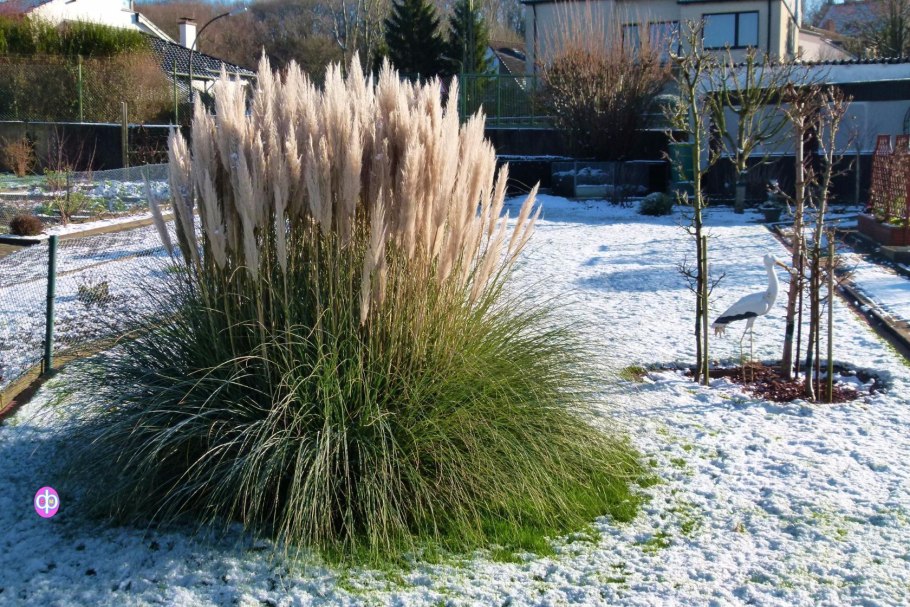 Снег на траве книга