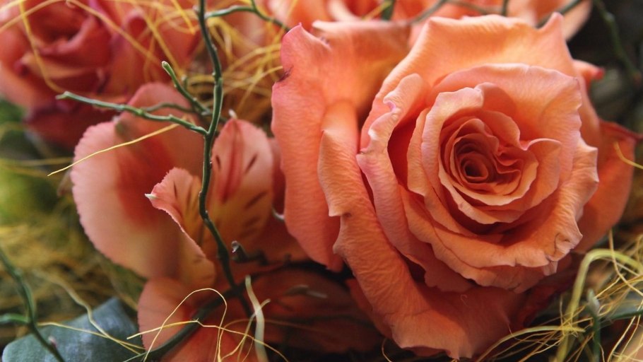 Роза оранжевая бокаловидная