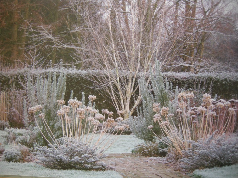 Пит Удольф зимой