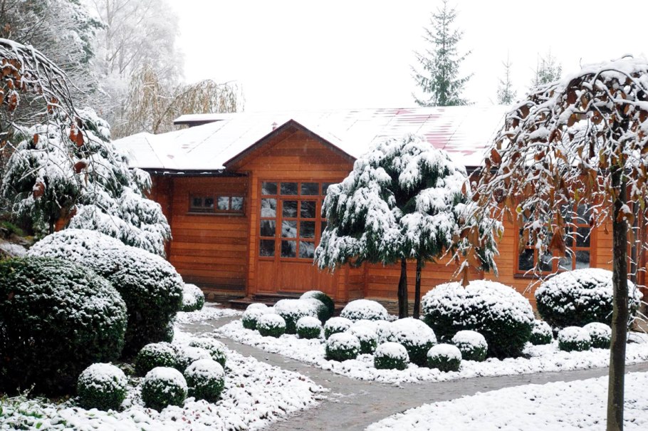 Колесник Владимир ландшафт зимой