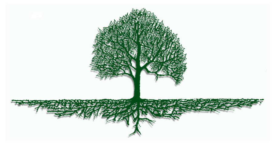 Дерево с корнями силуэт